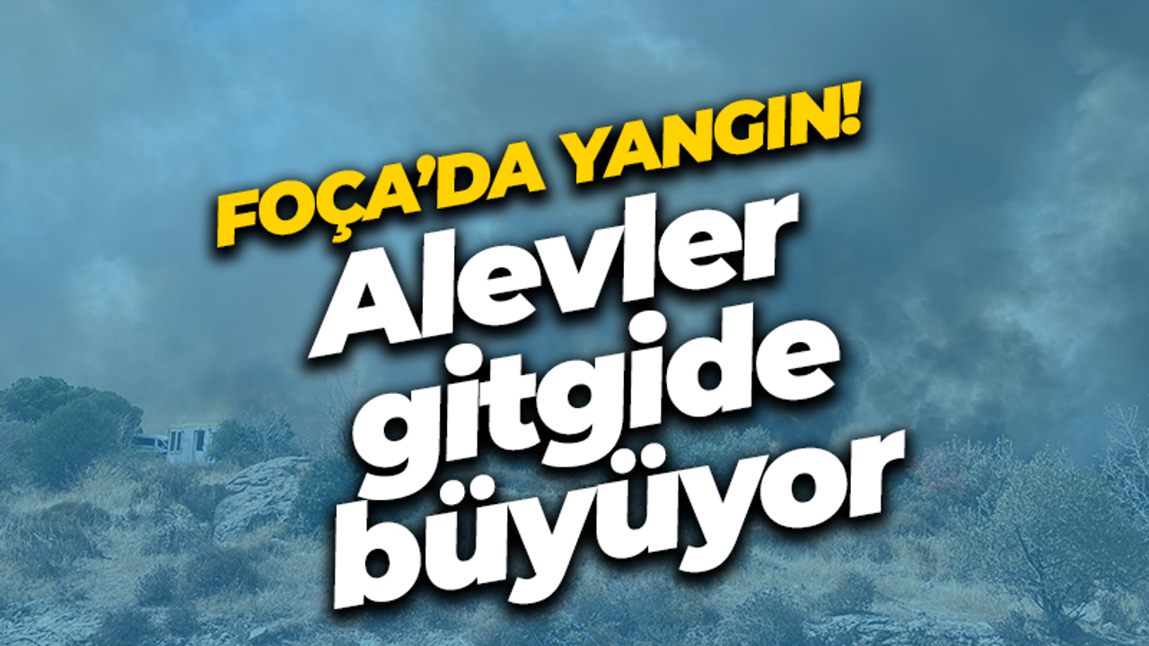 Foça'da yangın! Alevler gitgide büyüyor!