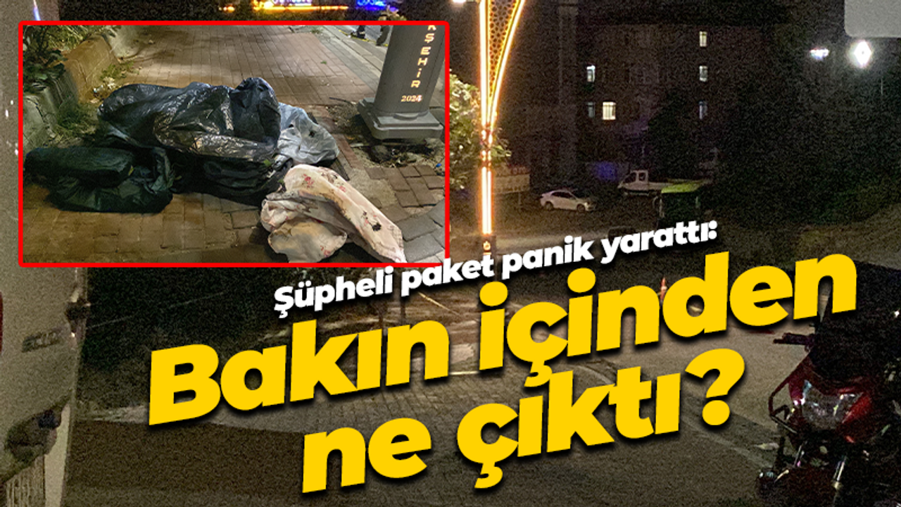 Şüpheli paket panik yarattı: Bakın içinden ne çıktı?