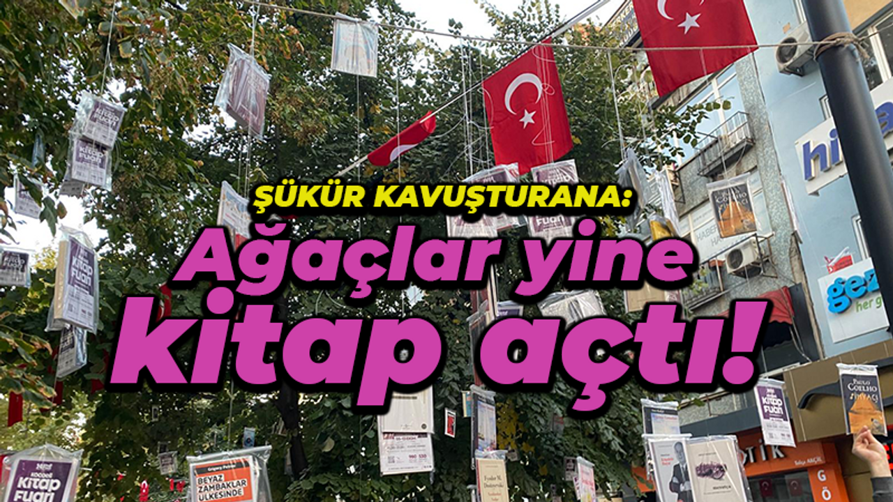 Cumhuriyet Bulvarı yine kitap açtı! Vatandaşlar ağaçlardan kitap topladı