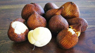 Yılan Meyvesi: Tropikalin gizli hazinesi