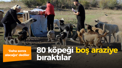 'Daha sonra alacağız' dediler 80 köpeği boş araziye bıraktılar