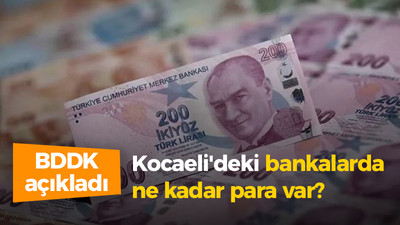 BDDK Kocaeli'deki bankalarda ne kadar para olduğunu açıkladı