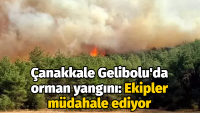 Çanakkale Gelibolu'da orman yangını: Ekipler müdahale ediyor