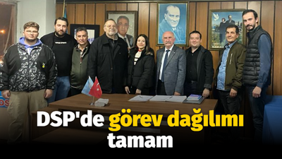 DSP'de görev dağılımı tamam