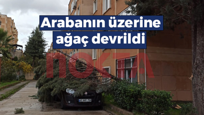 İzmit'te şiddetli rüzgarın devirdiği ağaç arabanın üzerine düştü