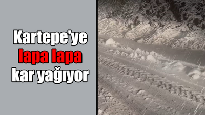 Kartepe'de lapa lapa kar yağıyor