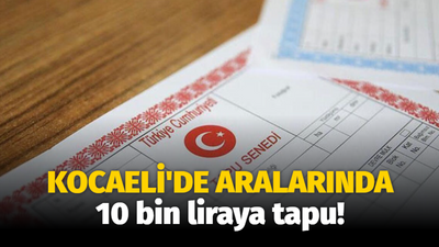 Kocaeli de aralarında! Bu iller için düğmeye basıldı: 10 bin liraya tapu