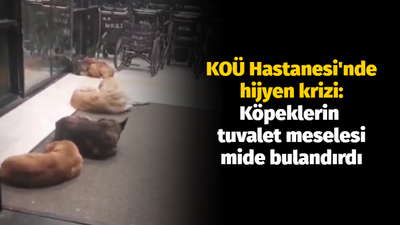 Kocaeli Üniversitesi Hastanesi'nde hijyen krizi: Köpeklerin tuvalet meselesi mide bulandırdı