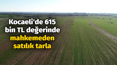 Kocaeli'de 615 bin TL değerinde mahkemeden satılık tarla