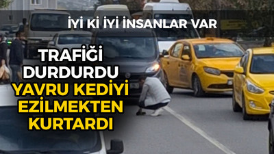 Trafiği durdurdu yavru kediyi ezilmekten kurtardı