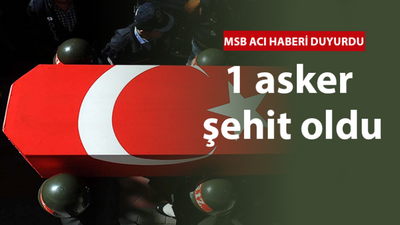 MSB acı haberi duyurdu: 1 asker şehit oldu