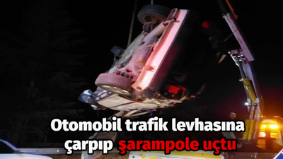 Otomobil trafik levhasına çarpıp şarampole uçtu