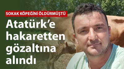 Sokak köpeğini öldürmüştü, Atatürk’e hakaretten gözaltına alındı