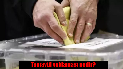 Temayül yoklaması nedir, nasıl yapılır? TDK Temayül yoklaması anlamı....