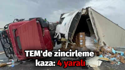 TEM'de zincirleme kaza: 4 yaralı