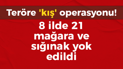 Teröre 'kış' operasyonu! 8 ilde 21 mağara ve sığınak yok edildi