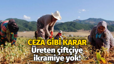 Üreten çiftçiye ceza gibi karar, emekliye ikramiye yok! Kandıra Ziraat Odası Başkanı isyan etti!