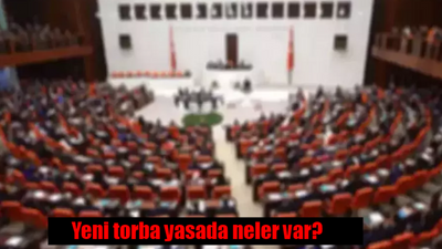 Yeni torba yasada neler var, içeriği ve maddeleri neler? 2. torba yasa Melis'e ne zaman gelecek?