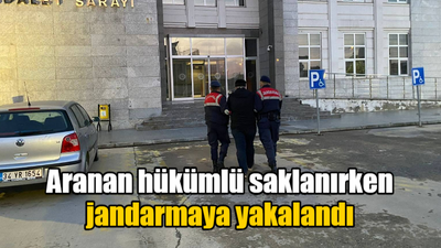 Aranan hükümlü saklanırken jandarmaya yakalandı