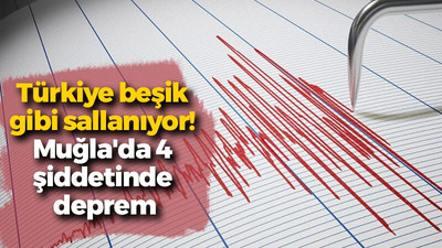 Türkiye beşik gibi sallanıyor! Muğla'da 4 şiddetinde deprem