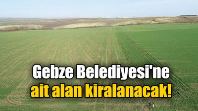 Gebze Belediyesi'ne ait alan kiralanacak!