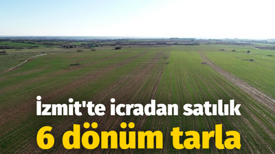 İzmit'te icradan satılık 6 dönüm tarla