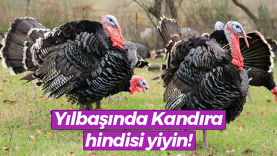 Yılbaşında Kandıra hindisi yiyin!