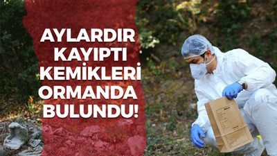 Aylardır kayıptı, cesedi ormandan çıktı!