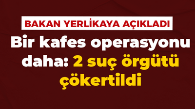 Bir kafes operasyonu daha: 2 suç örgütü çökertildi