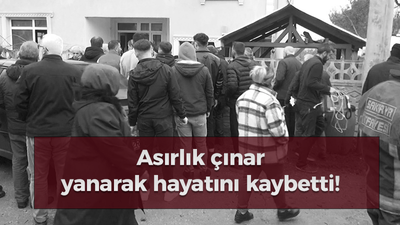 Asırlık çınar, yanarak hayatını kaybetti!