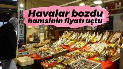 Havalar bozdu hamsinin fiyatı uçtu