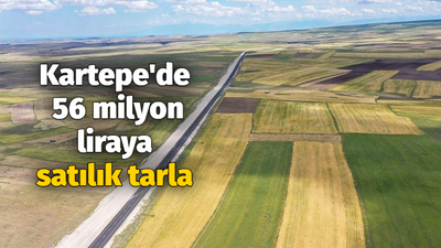 Kartepe'de 56 milyon liraya satılık tarla