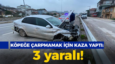 Kocaeli haber - Köpeğe çarpmamak için kaza yaptı: 3 yaralı