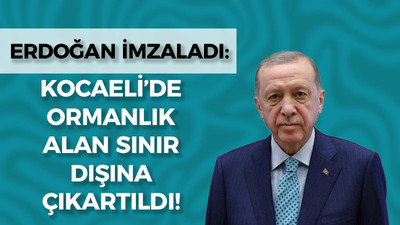 Erdoğan imzaladı: Kocaeli'de ormanlık alan sınır dışına çıkartıldı!