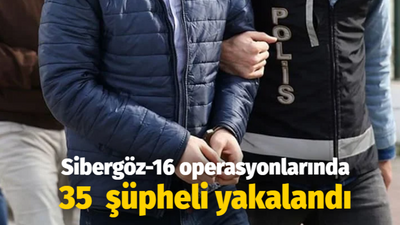 Sibergöz-16 operasyonlarında 35 şüpheli yakalandı