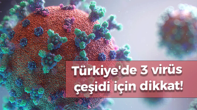 Türkiye'de 3 virüs çeşidi için dikkat!