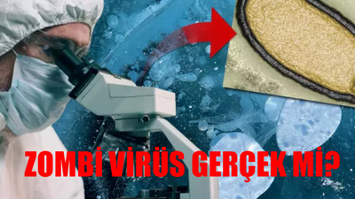 Zombi Virüs Nedir? Zombi Virüs Gerçek Mi 2024? Methuselah Zombi Virüs Belirtileri! Zombi Virüsü Öldürür Mü?