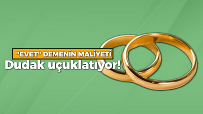 "EVET" demenin maliyeti dudak uçuklatıyor!