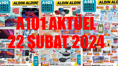 A101 22 Şubat 2024 Kataloğu YARIN SATIŞTA: A101 Kiwi Koltuk Halı Yıkama Makinesi 3999 TL! A101 Bu Hafta Perşembe Yepyeni İndirimler Var