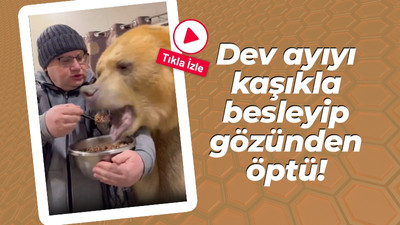 Dev ayıyı kaşıkla besleyip gözünden öptü!