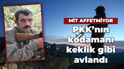 MİT affetmiyor! PKK'nı kodamanı keklik gibi avlandı