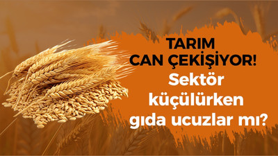 Tarım can çekişiyor! Sektör küçülürken gıda ucuzlar mı?