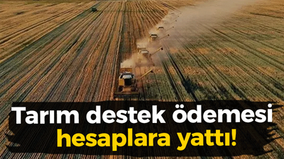 Tarım destek ödemesi hesaplara yattı!