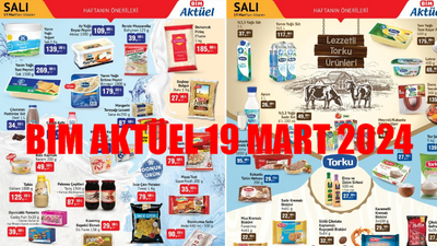 BİM AKTÜEL KATALOG 19 MART 2024 SALI: 19 Mart BİM Aktüel Molfix Bebek Bezi 262,50 TL! BİM Bu Hafta Salı Kaşar Peynir, Sucuk, Yumurta İndirimi Kaçmaz