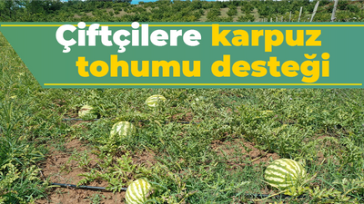 Çiftçilere karpuz tohumu desteği