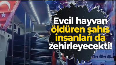 Evcil hayvan öldüren şahıs insanları da zehirleyecekti!