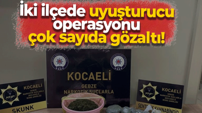 İki ilçede uyuşturucu operasyonu 9 gözaltı