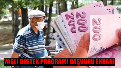 YADES BAŞVURU EKRANI 2024: Yaşlı Destek Programı Nedir? Yaşlı Destek Programı Başvuru Nasıl Yapılır? YADES Başvuru