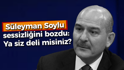 Süleyman Soylu sessizliğini bozdu: Ya siz deli misiniz?