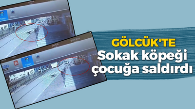 Gölcük'te sokak köpeğinin çocuğa saldırması ucuz atlatıldı... İşe o anlar